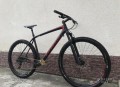 specialized-epic-carbon-29er-l-small-0