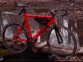 fixbike-bear-bike-armata-2017-small-0