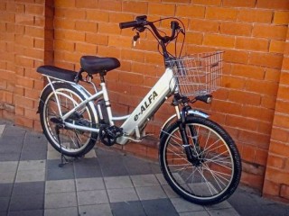 E-Bike Eltreco e-Alfa 24er