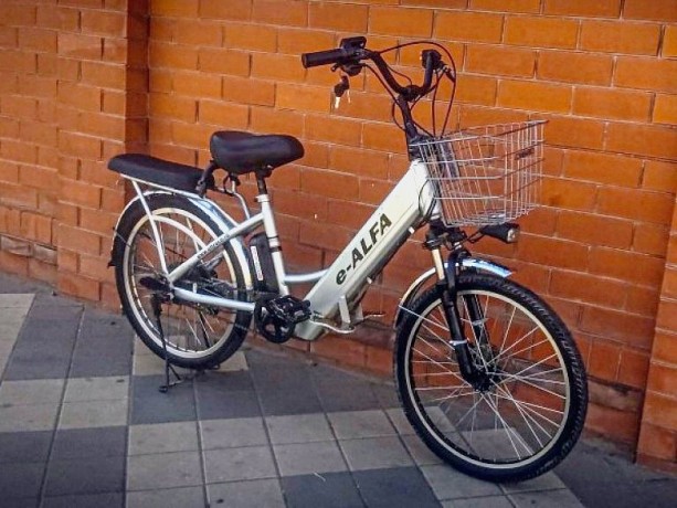 e-bike-eltreco-e-alfa-24er-big-2
