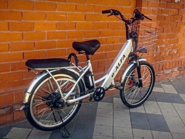 e-bike-eltreco-e-alfa-24er-big-1
