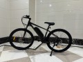 e-bike-forever-350w-10a-275er-novyi-small-3