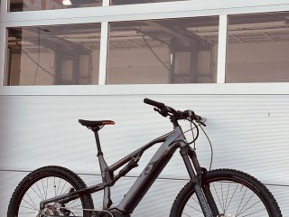 E-Bike Raymon TrailRay 8.0 Mullet 27,5/29er L 2022